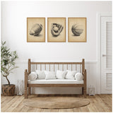Three framed sepia-toned sporting sketches featuring a football, a baseball glove with ball, and a basketball, hung above a wooden bench with white cushions in a minimalist room.