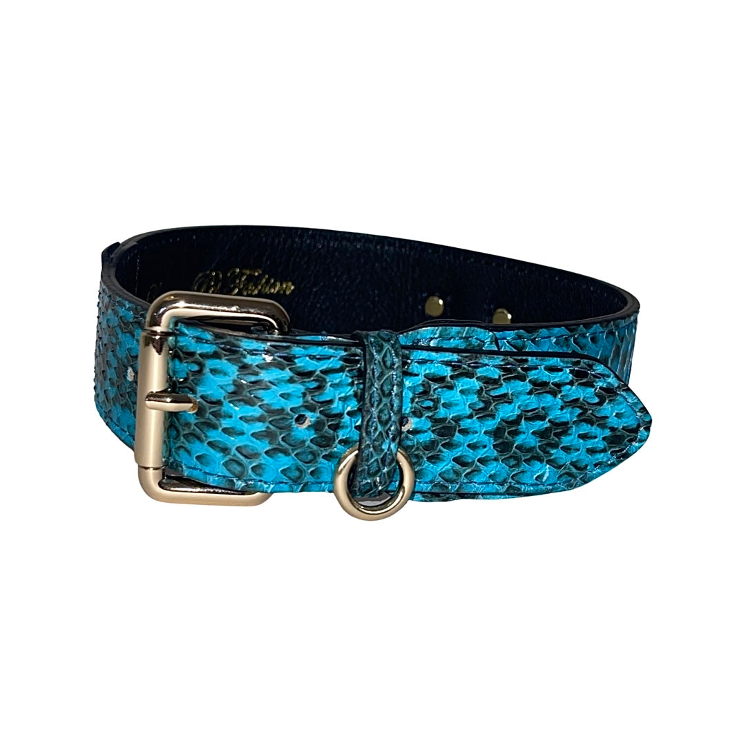 Turquoise and black snakeskin-textured collar with smooth black inner lining and gold buckle and D-ring hardware.