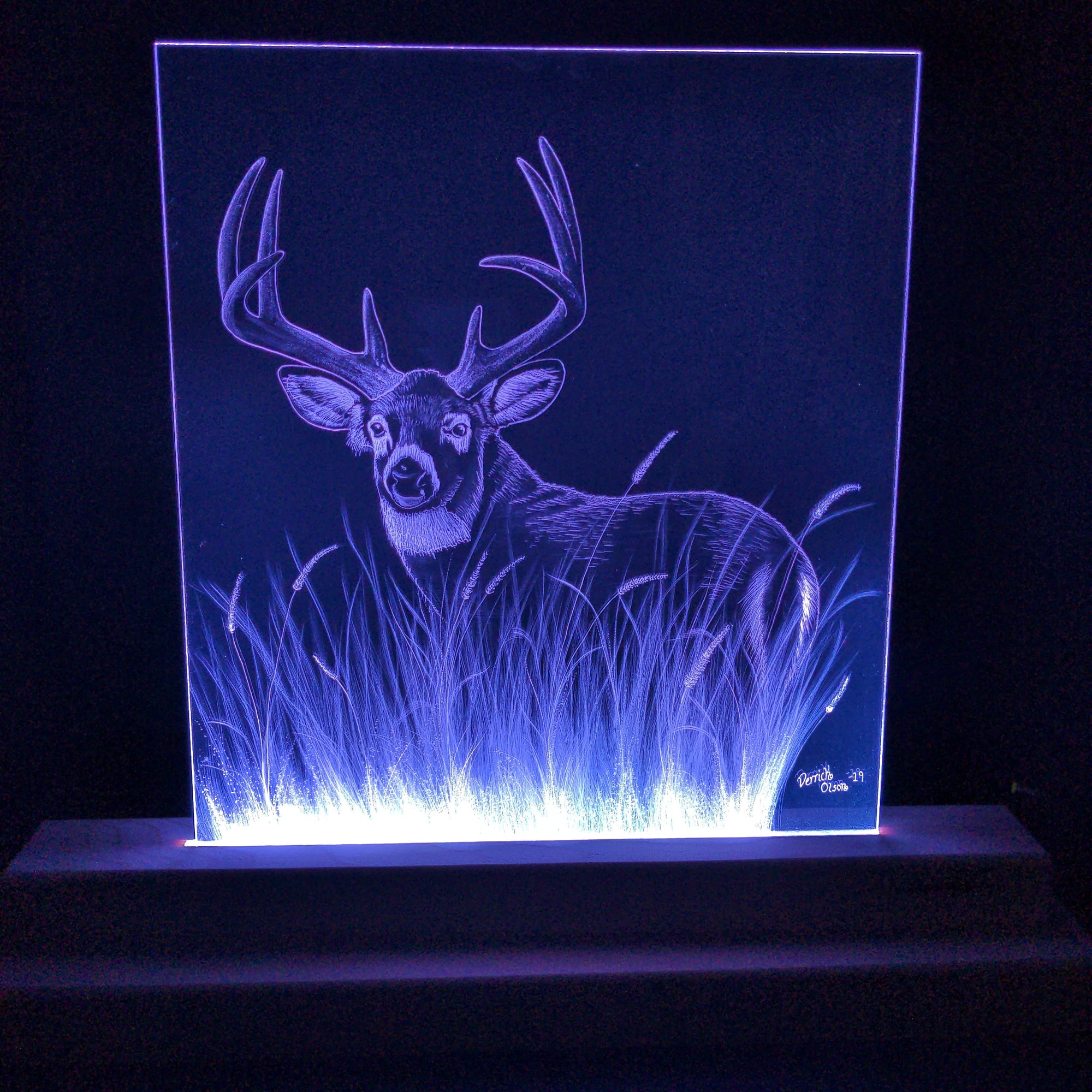 Big Buck laser-cut engraved acrylic design lit by LED light stand from D-Lighted Designs