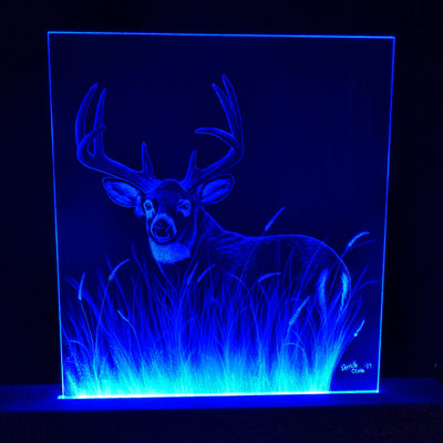 Big Buck (standard LED) by D-Lighted Designs