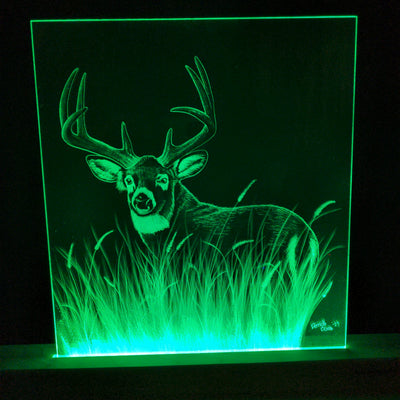 Big Buck (standard LED) by D-Lighted Designs