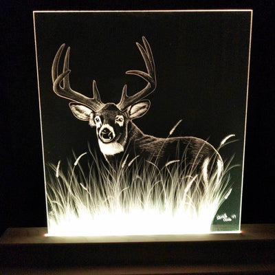 Big Buck (standard LED) by D-Lighted Designs
