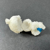Curled white stilbite crystals with a small vivid blue cavansite ball nestled inside, displayed on a dark gray surface under soft lighting.