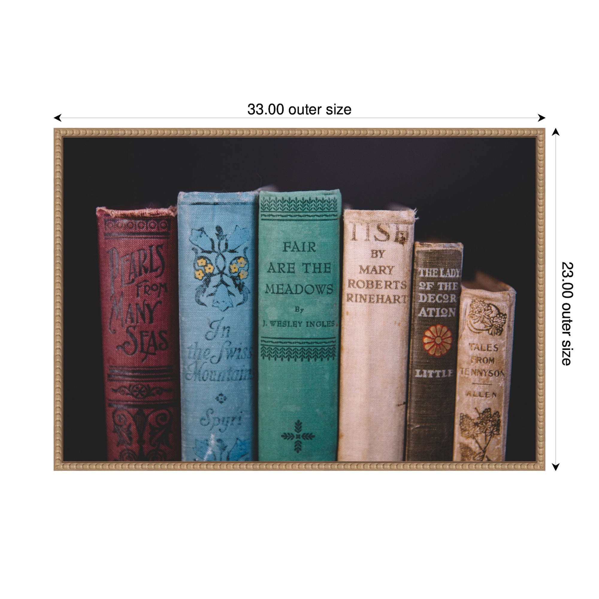 Sylvie Vintage Classic Books Framed Canvas by Patricia Hasz