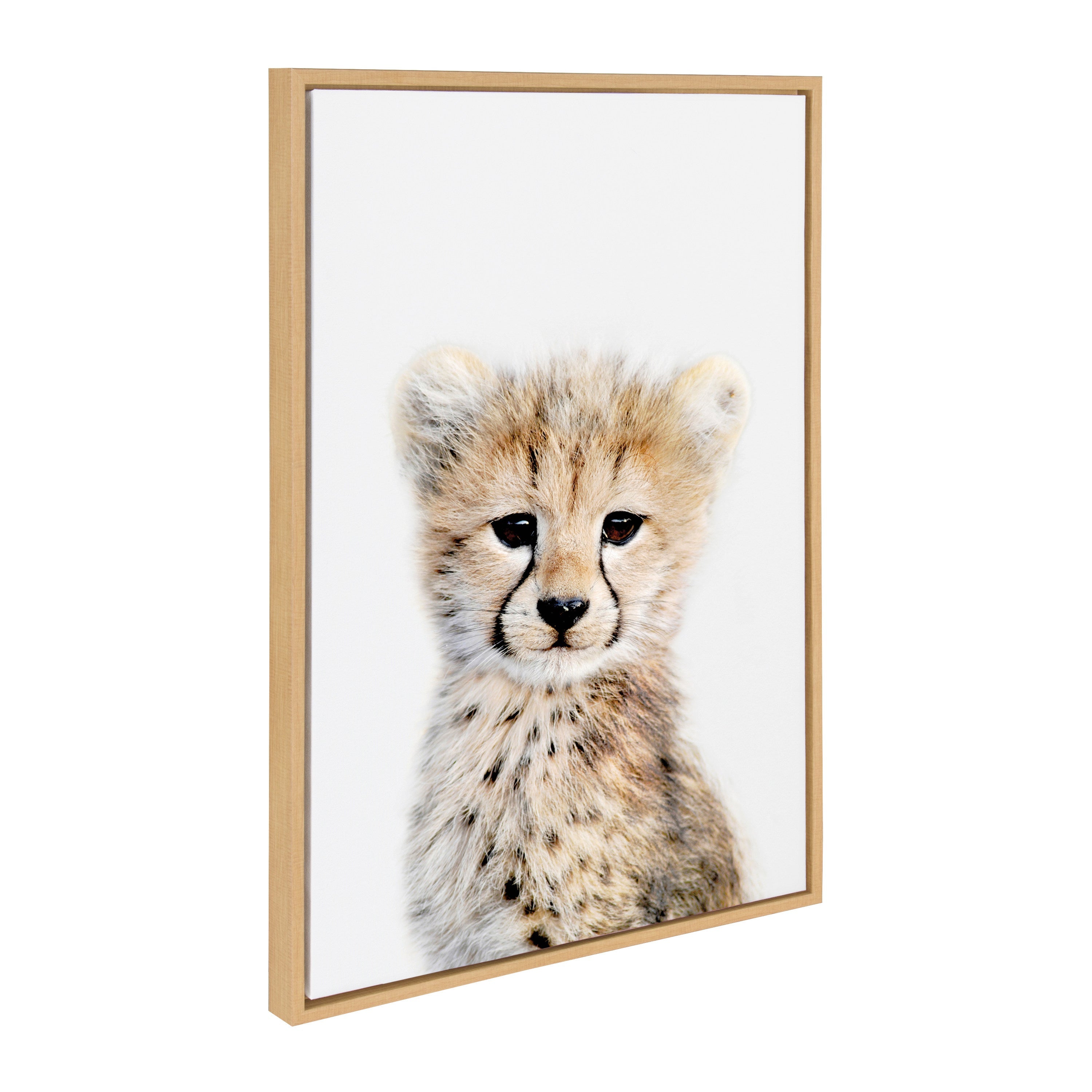 Sylvie Cheetah framed canvas print showing a baby cheetah by Amy Peterson, with a gold frame option