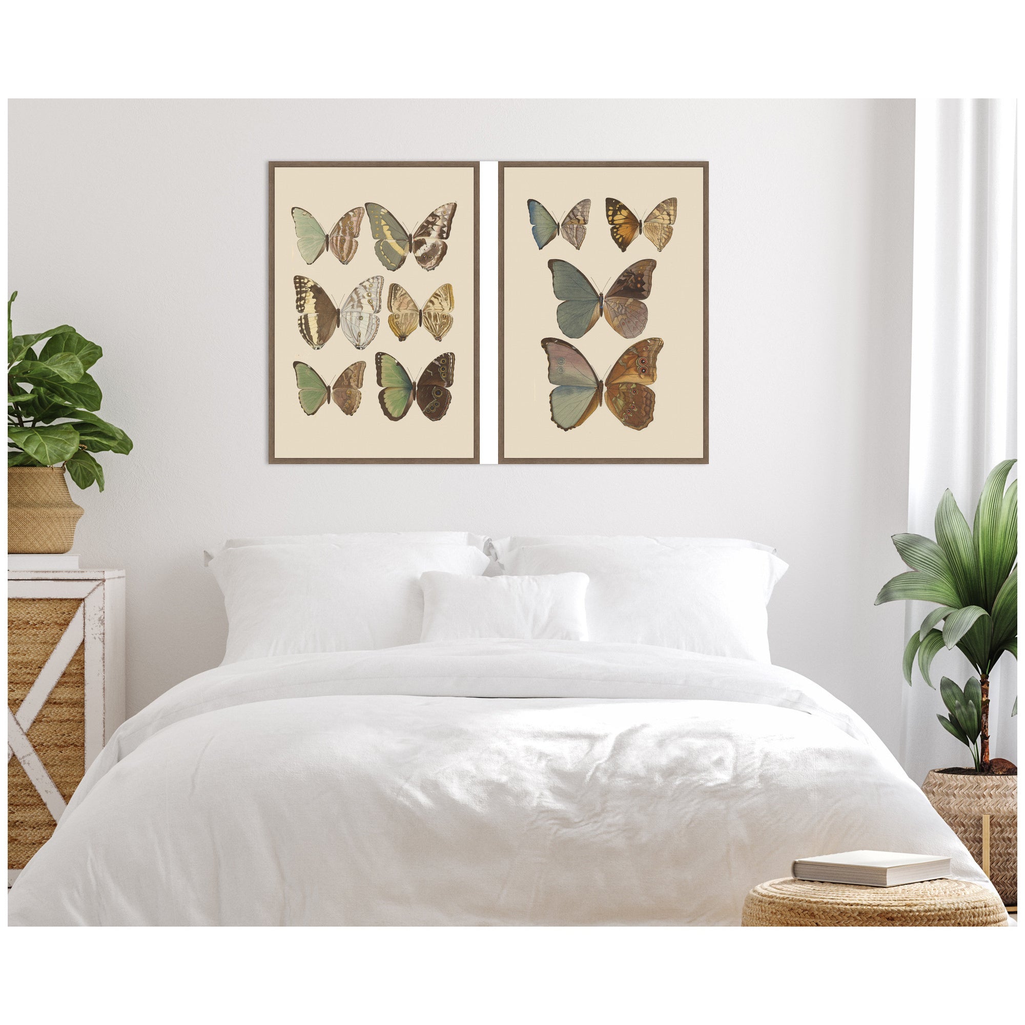 Exotische schmetterlinge Otto Staudinger 2 Piece Framed Canvas Wall Art Set by Nostalgia Prints