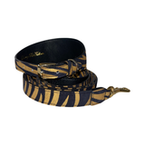Black and gold zebra-patterned Italian leather dog collar and matching leash set with gold-tone buckle and clasp hardware, coiled on a white background.