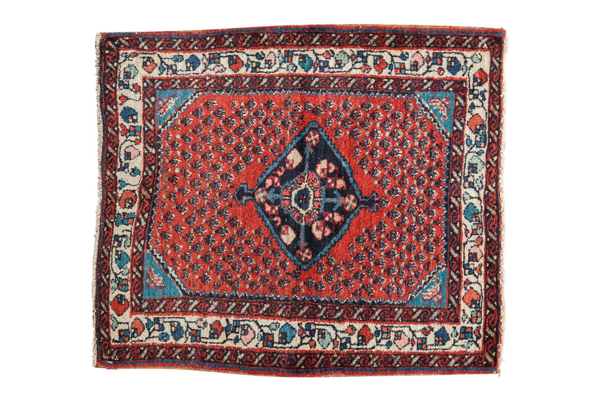 2x2 Vintage Engelas Rug Mat by Old New House® - main product image for Resin Society