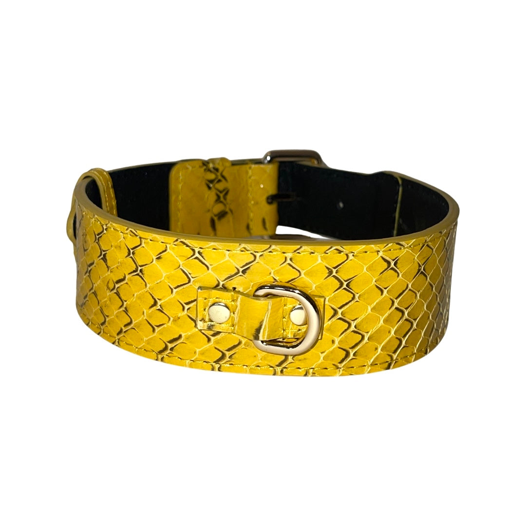 Wide mustard yellow dog collar with black snake scale pattern and a silver D-ring buckle on black inner lining.