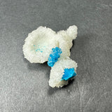 White translucent stilbite crystals forming curved, grainy surfaces with bright blue cavansite ball clusters embedded centrally and at one edge on dark gray background.