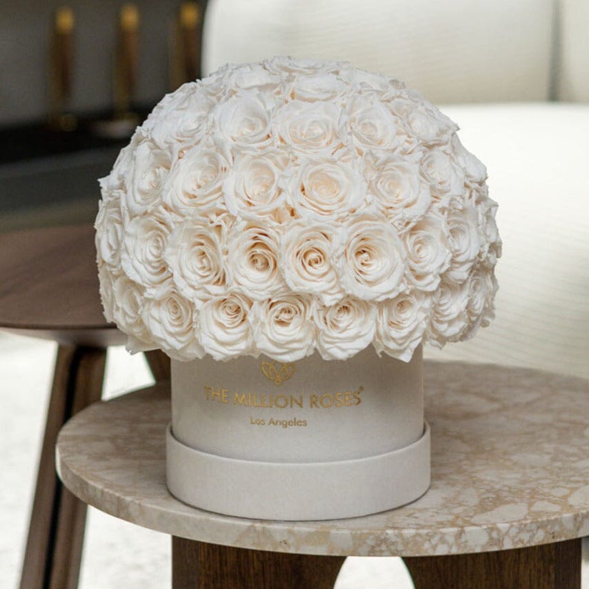 Classic Beige Suede Superdome Box by The Million Roses - product image 5 for Resin Society