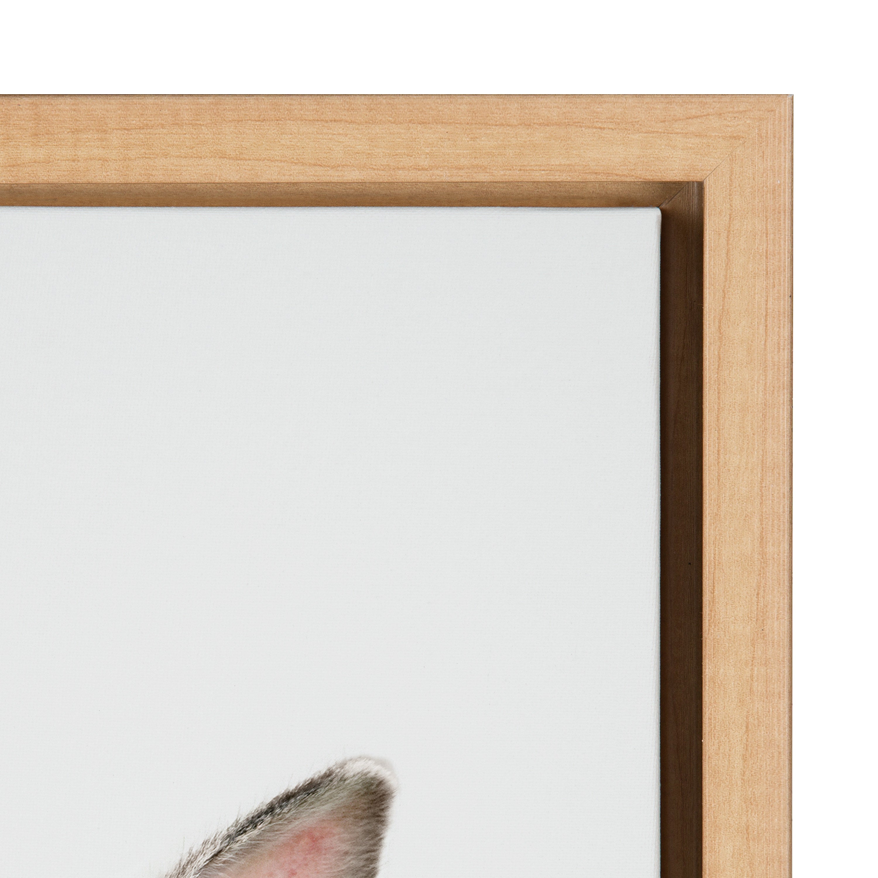 Sylvie Young Rabbit Framed Canvas by Amy Peterson Art Studio