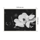 Black and white close-up of a magnolia flower with layered petals and a textured center, contrasted against dark blurred foliage in the background.
