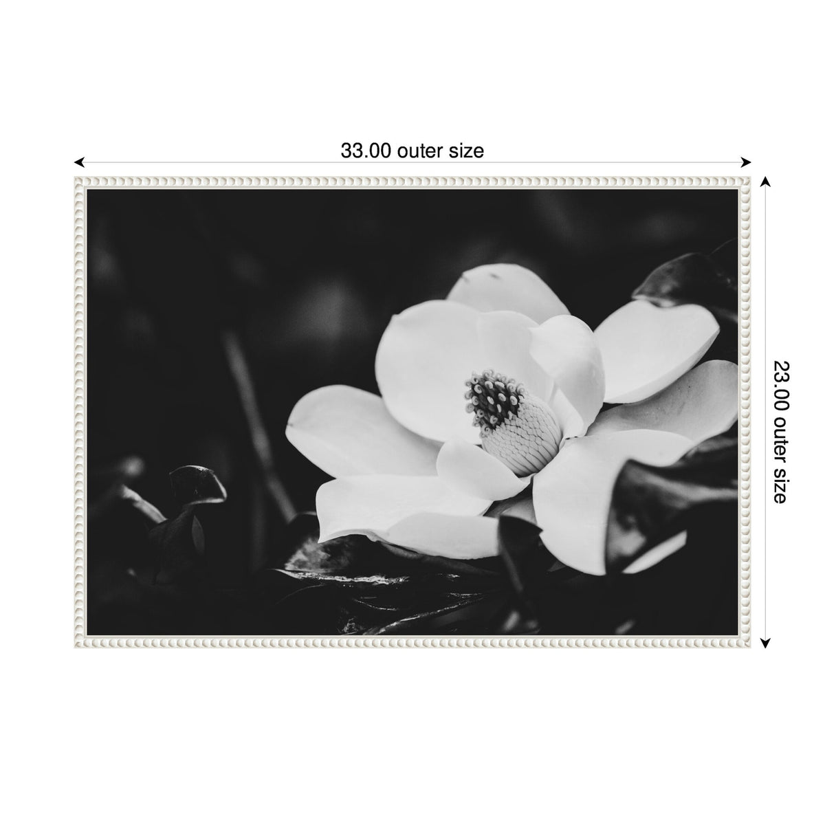 Black and white close-up of a magnolia flower with layered petals and a textured center, contrasted against dark blurred foliage in the background.