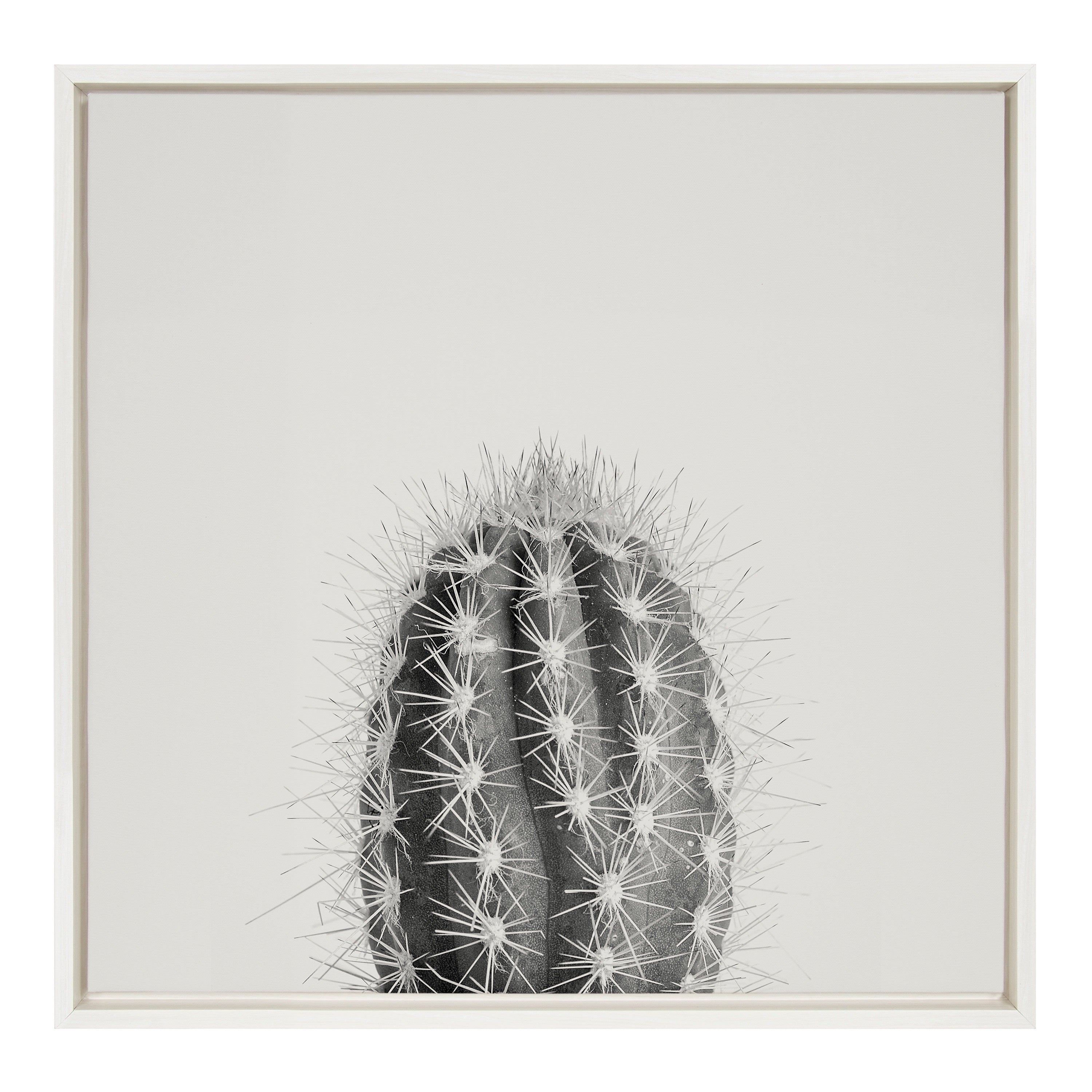 Sylvie Haze Cactus Succulent Tall Framed Canvas by kateandlaurel - product image 20 for Resin Society