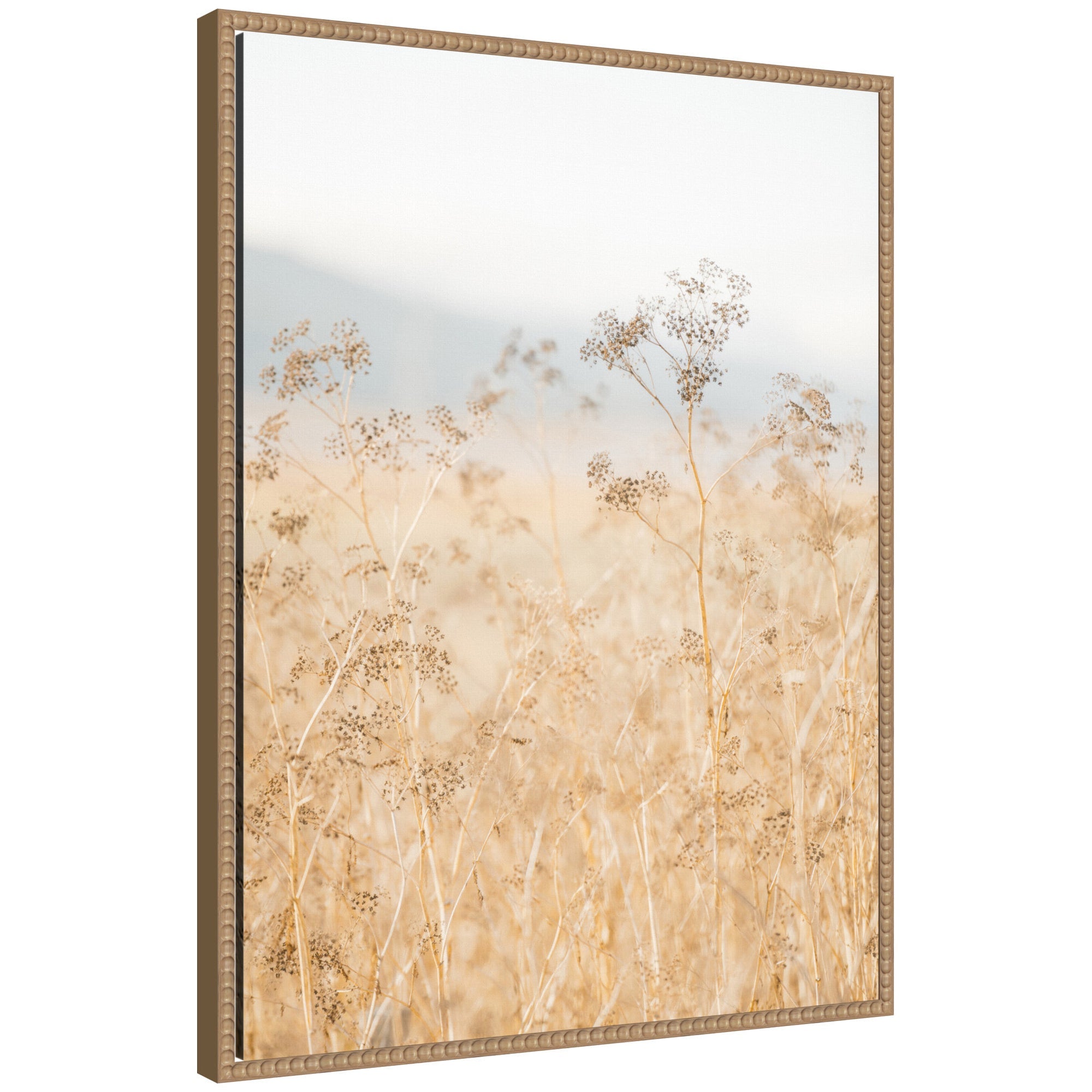 Sylvie Wild Fennel framed canvas art featuring a delicate botanical illustration in a vintage beaded frame