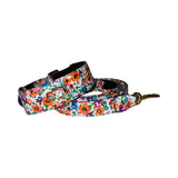 Pet collar and leash set featuring a white background with a colorful floral pattern in orange, purple, and green, equipped with gold-tone hardware.