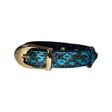 Close-up of a turquoise and black snakeskin-patterned collar with a shiny gold buckle, shown against a white background.