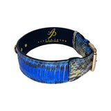 Blue gradient snake-patterned leather dog collar with gold buckle and black inner lining stamped with brand logo and name.