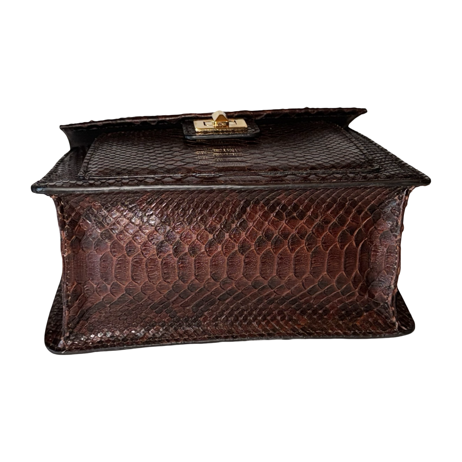 Sienna Horse Handle Handbag Authentic Multi-Toned Brown Python by Allysa Payne Beverly Hills - product image 7 for Resin Society