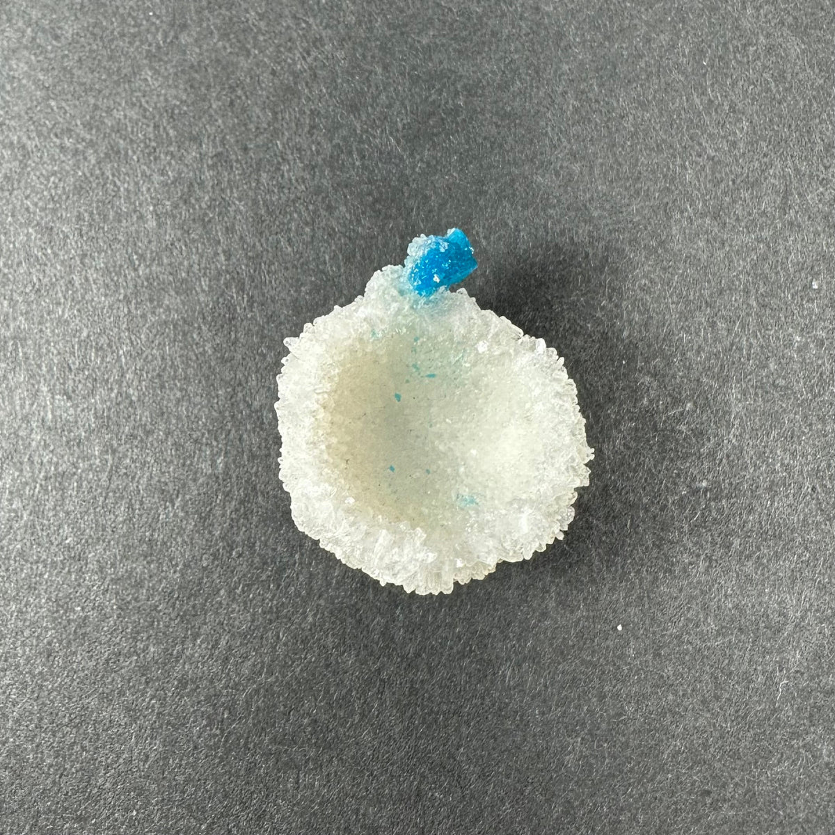 Small white Stilbite mineral with a textured, hollow center topped by a bright blue Cavansite ball, displayed on a dark gray background.