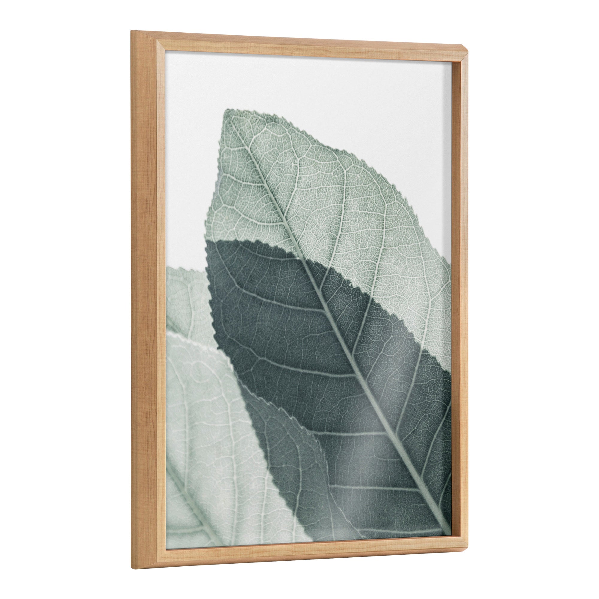 Blake Modern Green Leaf Botanical II Framed Printed Glass by The by kateandlaurel - main product image for Resin Society