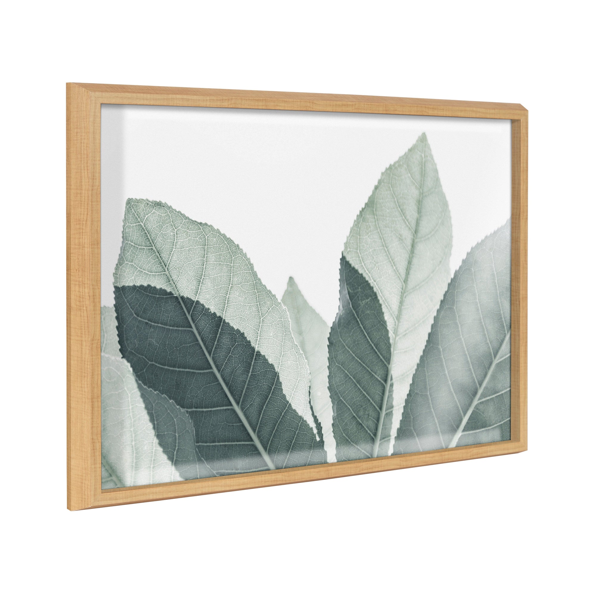 Blake Modern Green Leaf Botanical III Framed Printed Glass by The by kateandlaurel - main product image for Resin Society