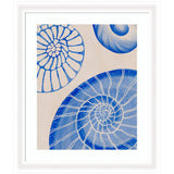 Framed artwork featuring three stylized blue ammonite shells with white spiral patterns on a beige background, arranged with one large and two smaller shells.
