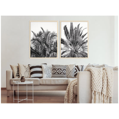 Palm No.
13 & 15 2 Piece Framed Wall Art Print Set by Alicia Bock