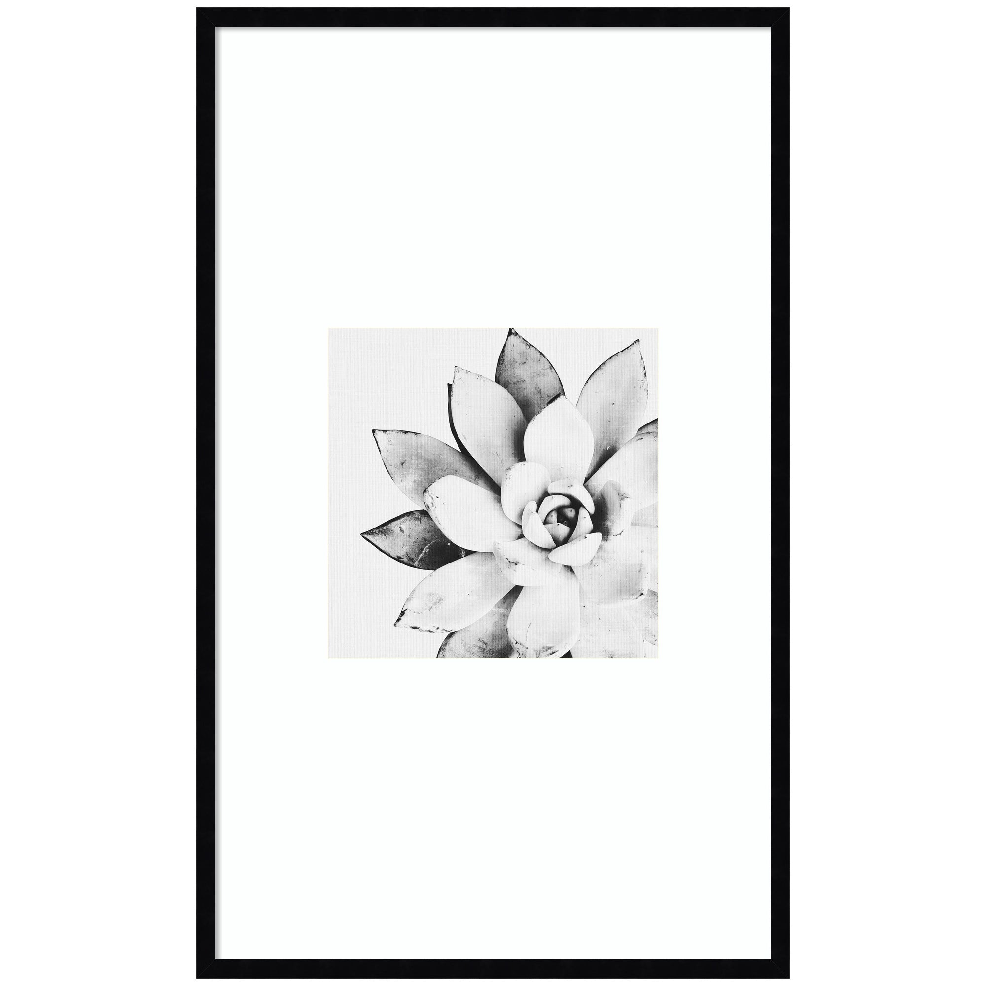 Modern Succulent by Tai Prints framed wall art showing vibrant green succulent in designer moulding