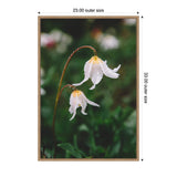 Close-up of two delicate white flowers with yellow centers and water droplets on curved reddish stems against a blurred green background, framed in light wood