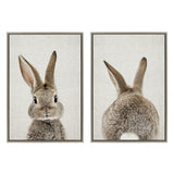 Two framed canvas prints showing a gray bunny, one with a front view of its face and upright ears, the other with a rear view highlighting its fluffy tail and back.