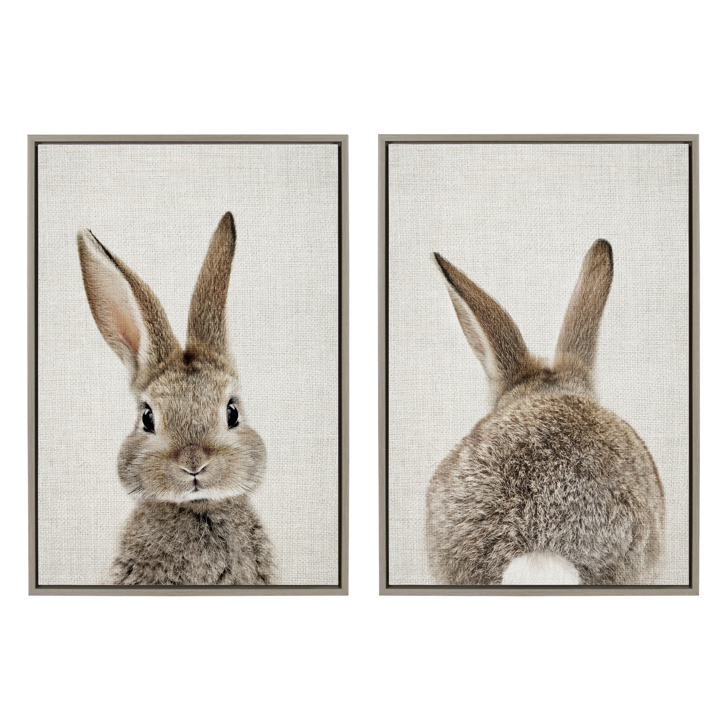 Sylvie Bunny Portrait and Bunny Tail Framed Canvas Art Set by Amy Peterson Art Studio