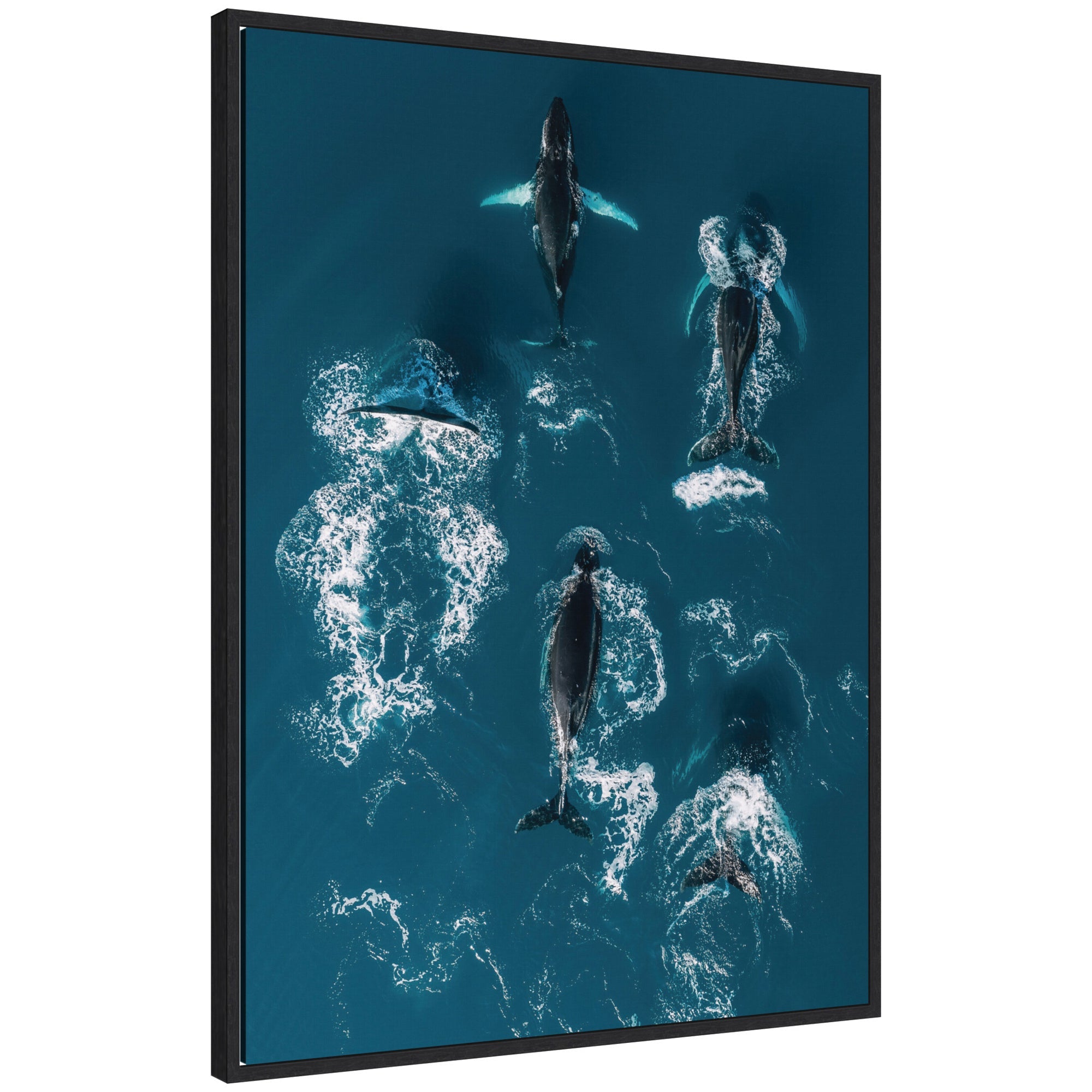 Framed canvas artwork depicting a school of humpback whales swimming in blue ocean by Michael Schauer