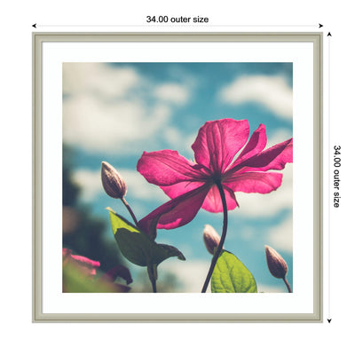 Framed Art Flower in the Sky by Stephanie Klatt