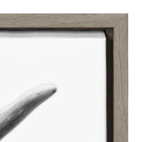 Close-up of a smooth, curved gray horn on a white canvas with a light wood frame corner visible