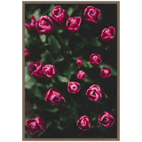 Framed canvas showing a cluster of dark pink tulip buds against deep green foliage, captured with a moody, blurred background.