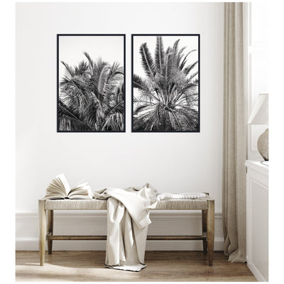 Palms No.
13 & No.15 2 Piece Framed Canvas Wall Art Set by Alicia Bock