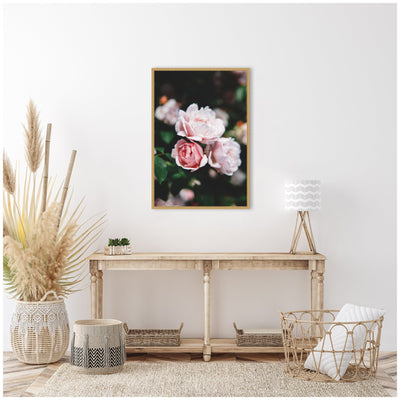 Sylvie Delicate Light Pink Rose Floral Framed Canvas by Patricia Hasz