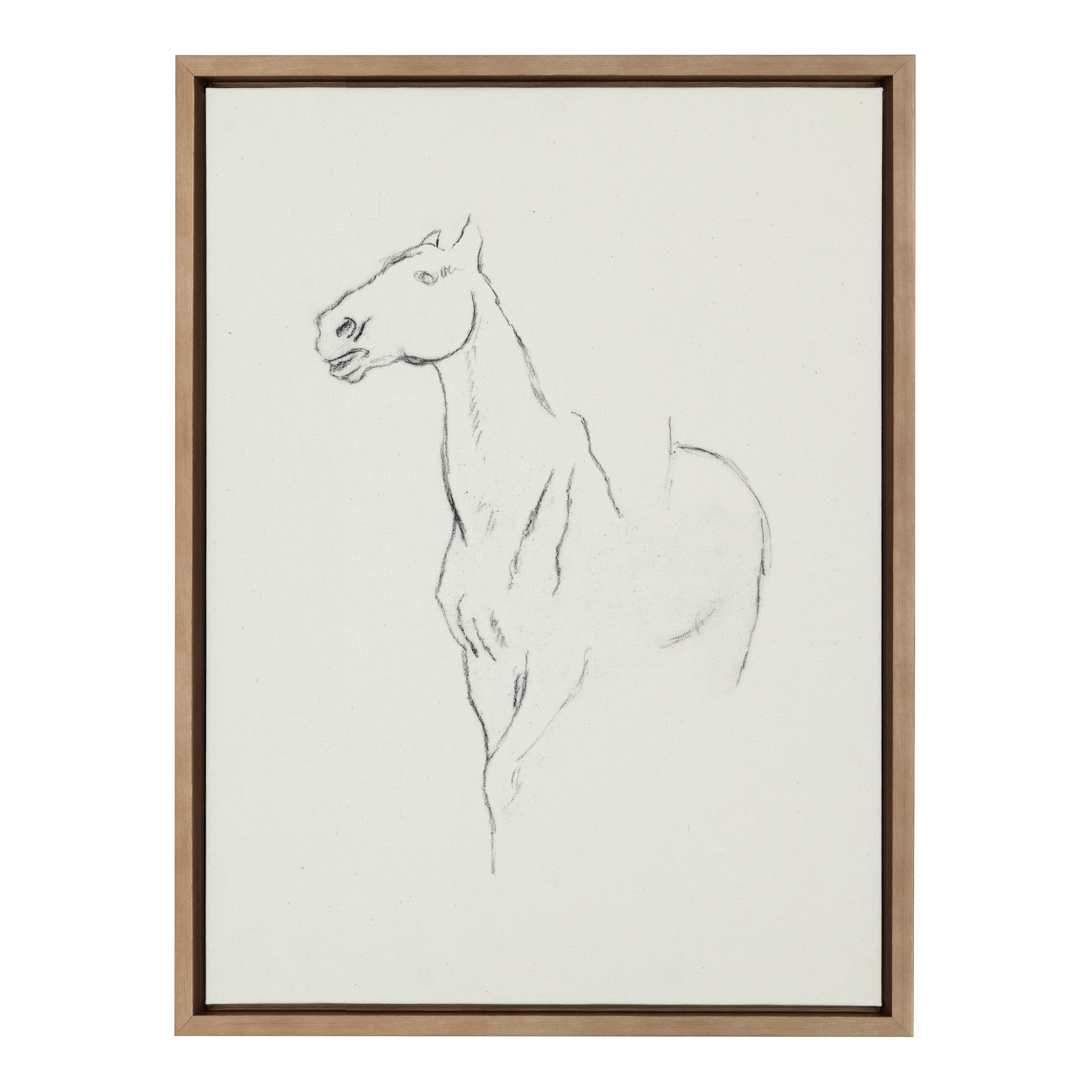 Sylvie Edgar Degas Horse Turned Three Quarters 1880 BW Framed Canvas by