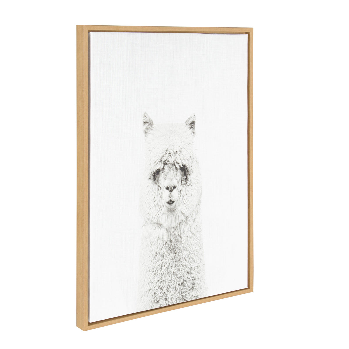 Framed canvas print of a detailed black and white drawing of a hairy alpaca, centered on a white background with a light wood frame.