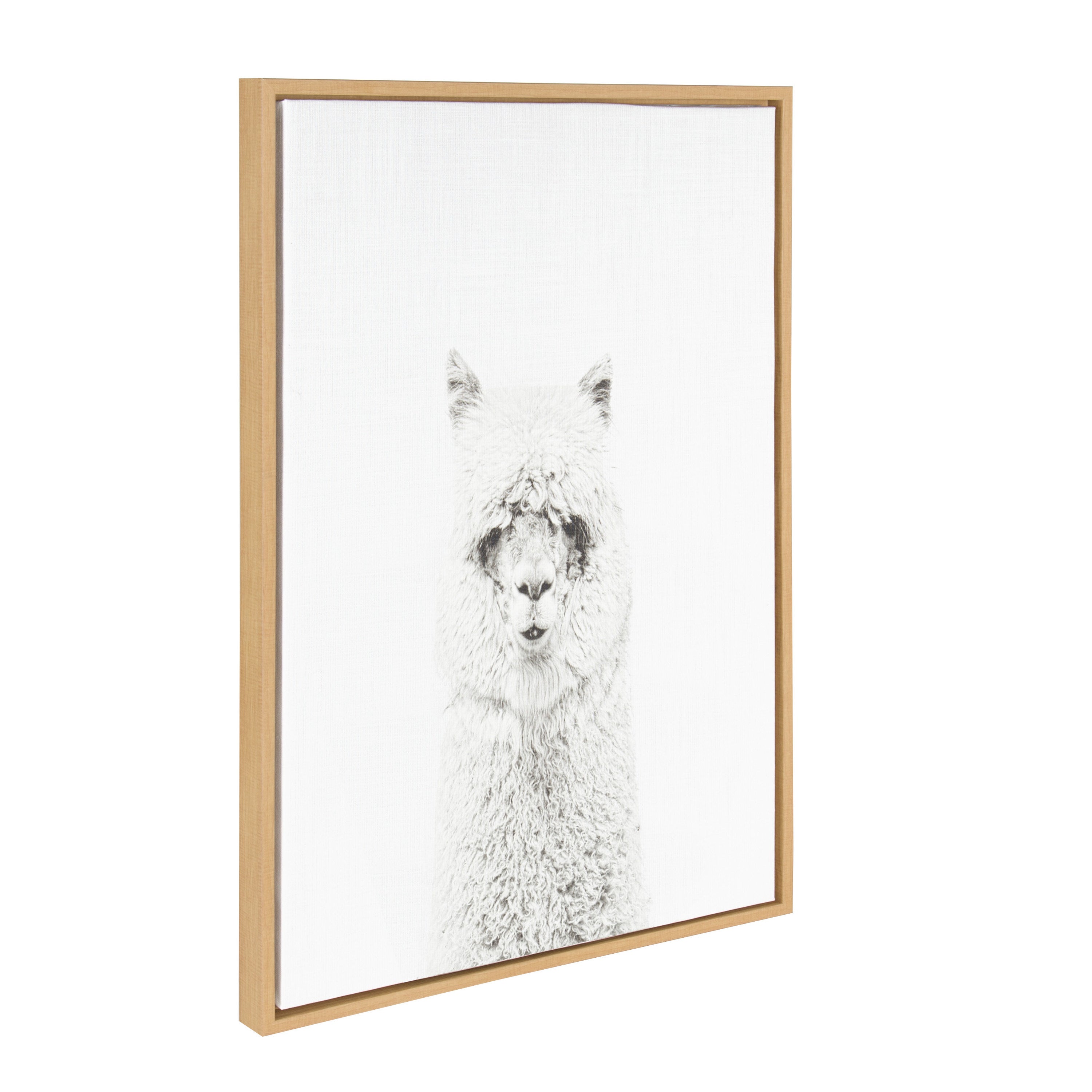 Sylvie Hairy Alpaca Framed Canvas by Simon Te of Tai Prints