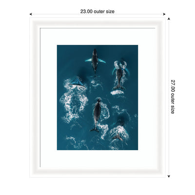 Framed Art School of Humpback Whales in the Blue Ocean by Michael Schauer
