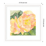 Watercolor painting of soft orange and pink begonia flowers with surrounding green leaves, framed in white with 27-inch outer dimensions.