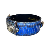 Wide dog collar featuring vibrant multi-blue snake scale texture with metallic accents and a gold-tone buckle, shown from a side angle on white background.