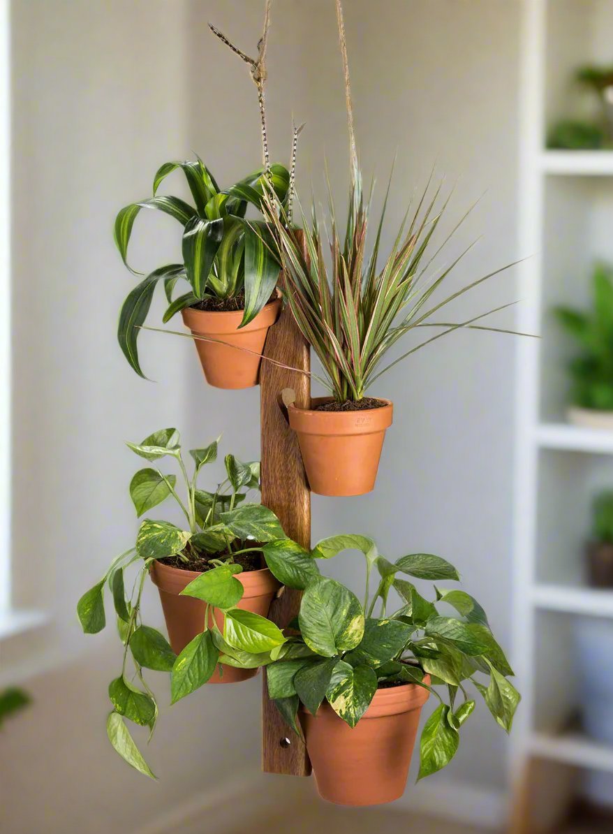 6 Pot Hanging Plant Holder - 3 piece set by Kalmar Home - main product image for Resin Society