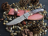 Damascus steel fixed blade knife with intricate swirling pattern and dark walnut handle featuring light-colored stag horn bolster, resting on a stitched reddish leather sheath among pebbles and pine cones.