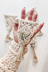 Hand holding a small cream-colored macrame air plant hanger with intricate knots and a tiny air plant inside, with two similar hangers blurred in the background.