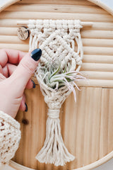 Hand holding a small macrame air plant hanger with intricate knots, holding a green and purple air plant against a circular wooden background.