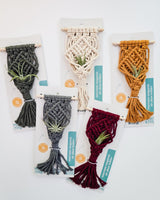 Three mini magnetic macrame air plant hangers in army green, gray, and natural colors displayed on a wooden surface with air plants nestled inside.